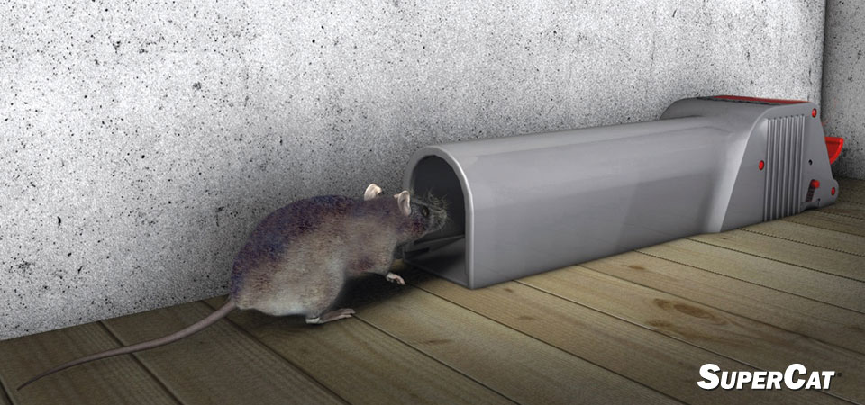 Trampa Ratones Vivos (sin Muerte) - Muy Segura y fácil de Utilizar -  Incluye Hamelin, Atrayente Natural de Ratones y Ratas