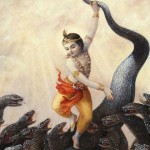 Los diferentes yogas: RAJA YOGA