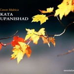 Los Upanishad Capitales: KATA (3/10)