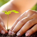 No juzgues cada día por las cosechas que consigues sino por las semillas que plantas