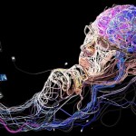 Curiosas informaciones sobre nuestra mente