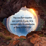 MARAVILLOSA NATURALEZA: Alas para volar libre