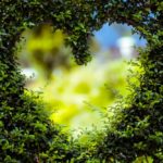 “Conocer el verdadero AMOR es vivir en un estado perpetuo de pérdida”