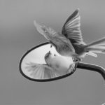 AHAM-VRITTI: La constitución del ego o pensamiento yo